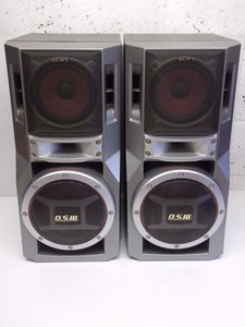 sony dsw speakers price
