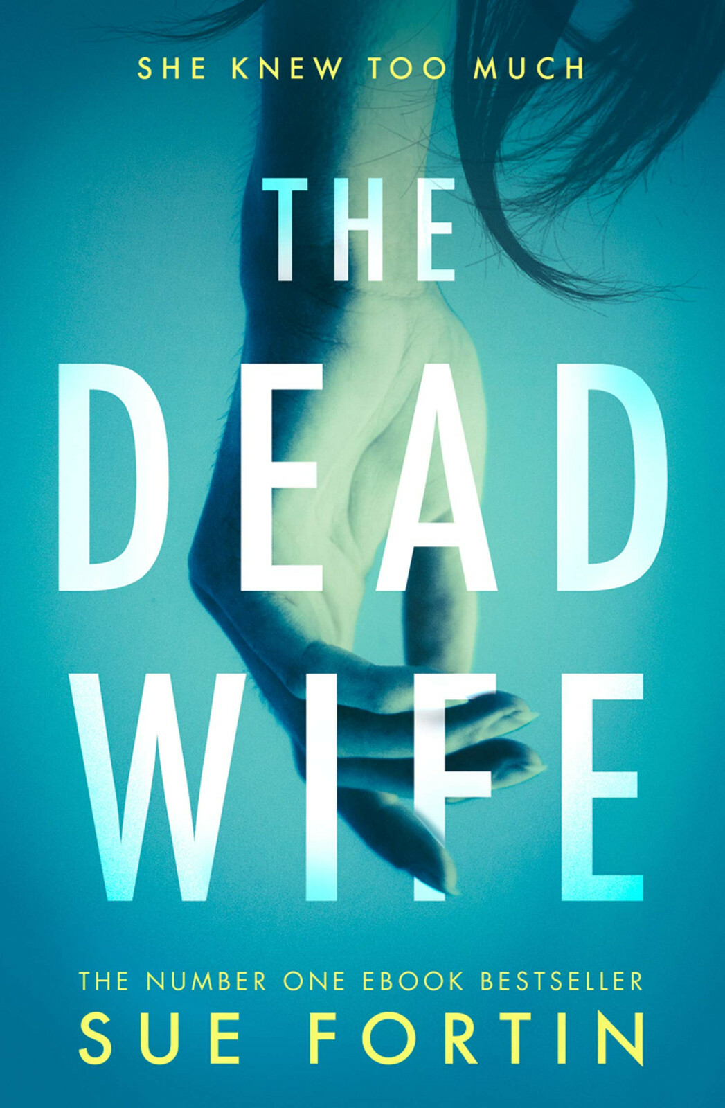 The Dead Wife by Sue Fortin (Paperback) Book NEW psychological thriller