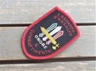 Patch Italian WW2 RSI 1943-45 1° Reparto d'Assalto new repro