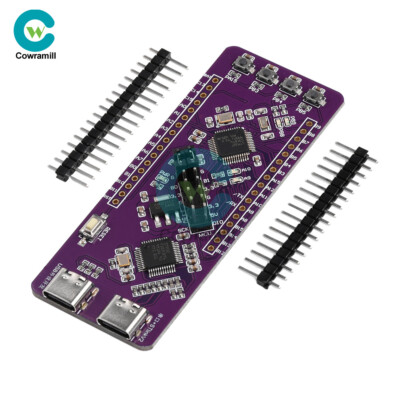 STM32F103C8T6 Development Board St-Link V2 Simulation Burner System Board Type-C