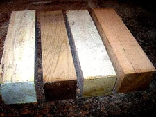VARIETY PACK: BEECH, BIRCH, COFFEE TREE, ELM TURNING WOOD BLANKS 3" X 3" X 12"