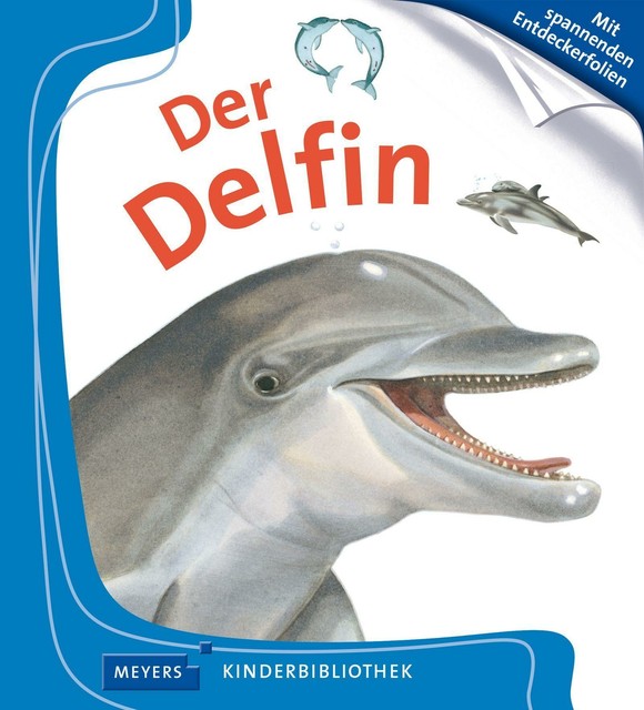 Der Delfin (2005, Gebundene Ausgabe)