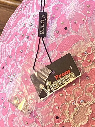 Vienna Prom Long Lace Gown Pink AB Crystal Accent Waist Size 10 NWT - Picture 8 of 10