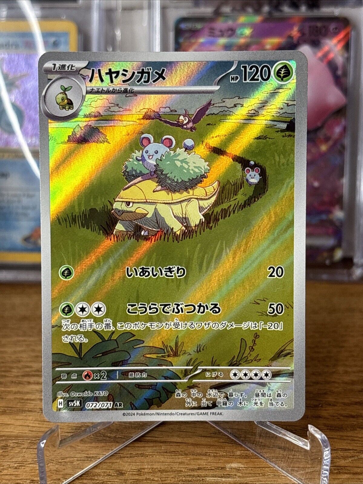 Grotle Full Art 072/071 AR sv5K Wild Force Japanese Pokemon TCG Near Mint