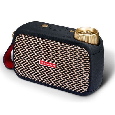 Positive Grid Spark GO tragbarer Gitarrenverstärker schwarz kompakt batterieb...