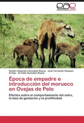 Época de empadre e introducción del morueco en Ovejas de Pelo Gastón Alejandro G