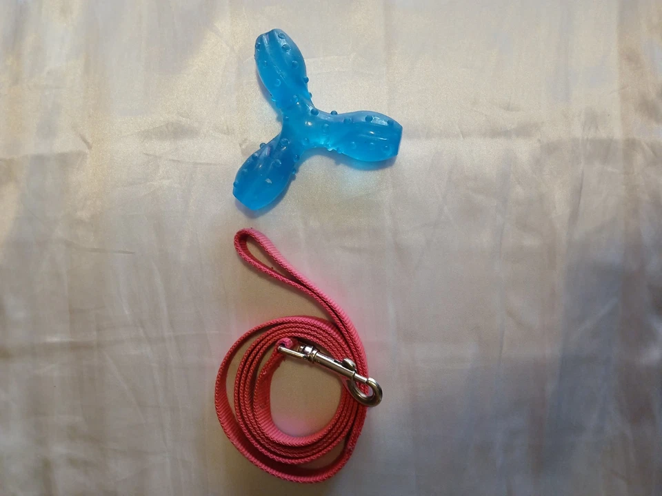 Pink Dog Leash With Blue Chew Toy For Chewers For Small Medium Dogs Dog Toy - Image 3 of 4