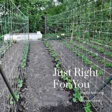 8/15/30FT Vegetable Field Plant Climbing Net Fruit Climbing Rope Garden Supplies