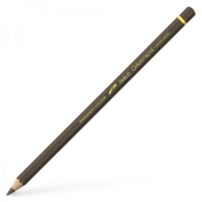Caran D'Ache Pablo Raw Umber (049)