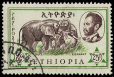ETHIOPIA 371 - African Elephants 