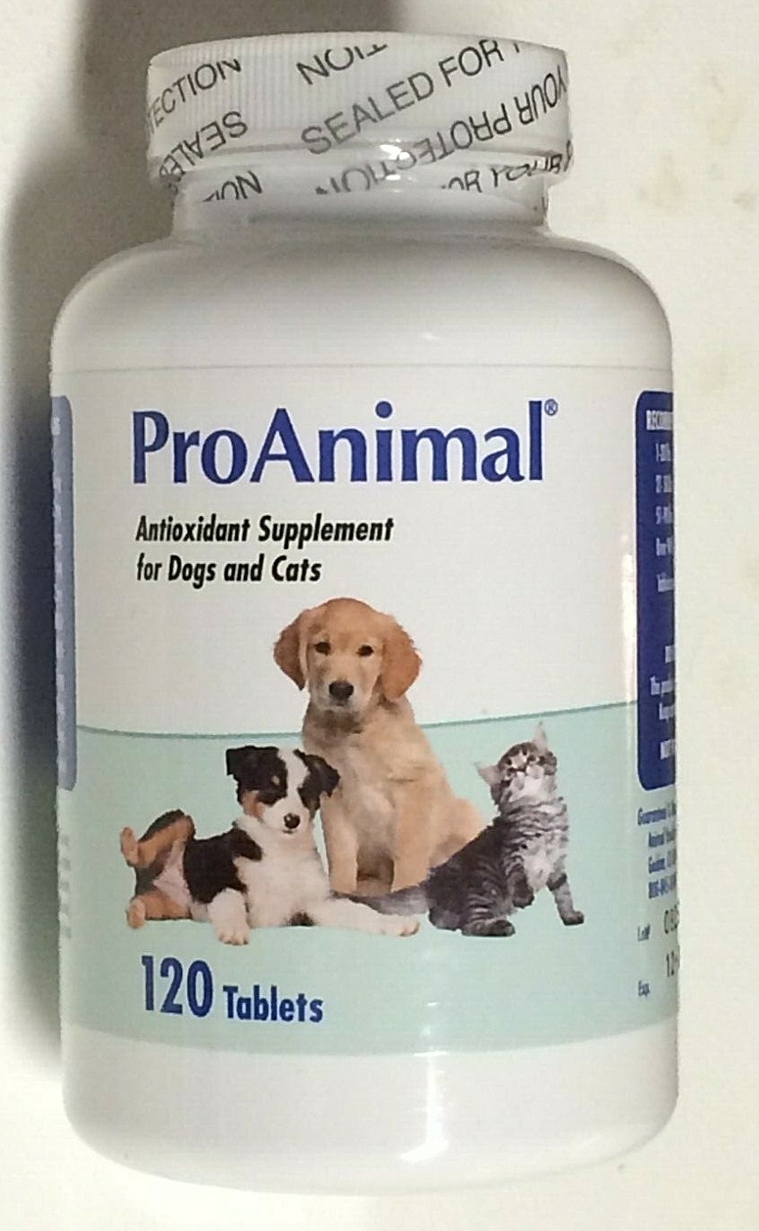 best iron supplement for dogs