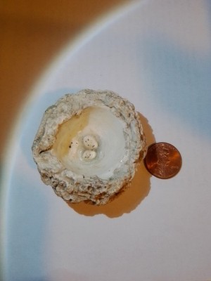 Small Ceramic Nest With Eggs Cream 2'' Ring Dish Decor Bird Nest