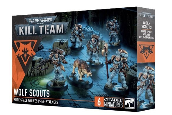 Kill Team: Wolf Scouts - Warhammer 40k Space Marines | eBay