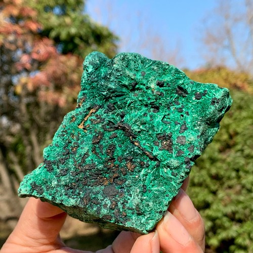 219G Natural VELVET Malachite cat's eye specimen crystal rough mineral-Congo - Picture 16 of 24