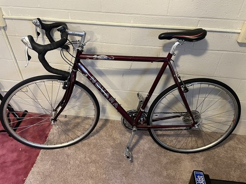 novara randonee touring bike