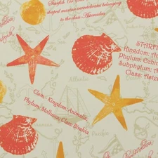 MILL CREEK STARFISHES & CLAMS RED SCIENTIFIC NAMES OUTDOOR FABRIC BY YARD 54"W