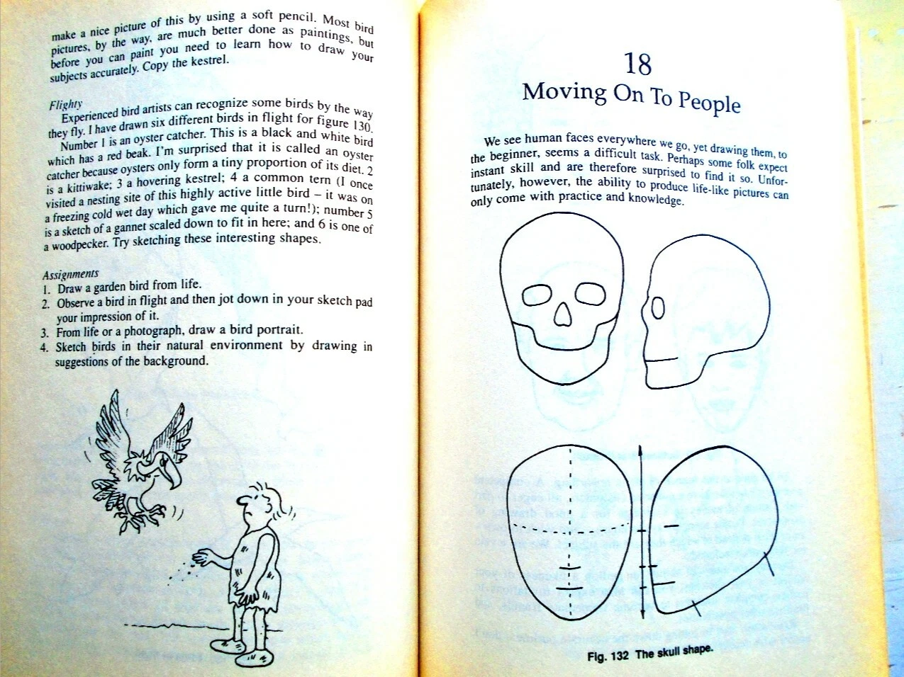 Imagen 8 de 12