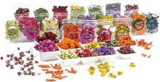 Natural Dried Fruit and Flower Kit - 25 Bags for DIY Crafts and Soap Making