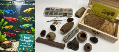 CATAPPA-LEAVES Alimento para camarones, peces y cuevas como escondite decorativo + hojas de almendro de mar