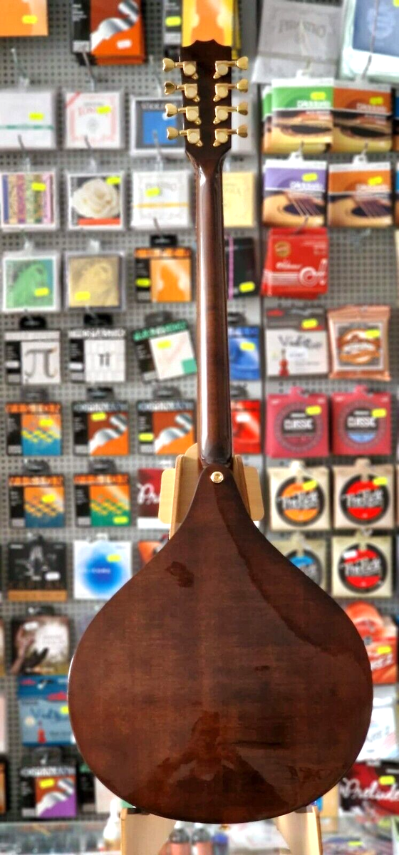 HORA BOUZOUKI CONCERT IRLANDESE CON BORSA TOP ABETE MASSELLO FONDO FASCE ACERO MASSELLO BINDING Rosetta Intarsiati Manico Acero Tastiera Palissandro - Foto 5