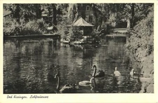Ducks Swimming Along Liebfrauensee, Bad Kissingen, Bavaria, Germany Postcard