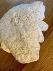 Antique textile lot including one Lace collar and one lace bowl cover — photo 10