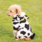 Afbeelding 2 van 7