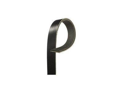 Multi Rib Belt For 2003-2004 Lincoln Navigator ZT695TP