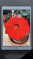 ipad 7 generazione 32 GB Argento e Bianco