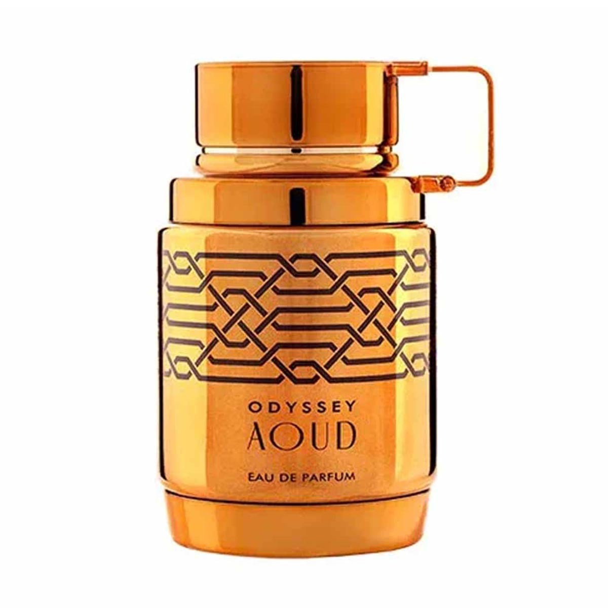 Armaf Odyssey Aoud Eau De Parfum 100ml - Immagine 2