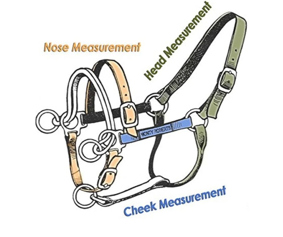 Premium M Onty Roberts Offizielles Training Halfter Schulhalfter Standardhalfter - Bild 4 von 4