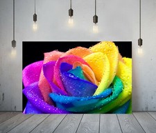 RAINBOW ROSE -DEEP FRAMED CANVAS WALL ART PICTURE PAPER PRINT- YELLOW BLUE PINK