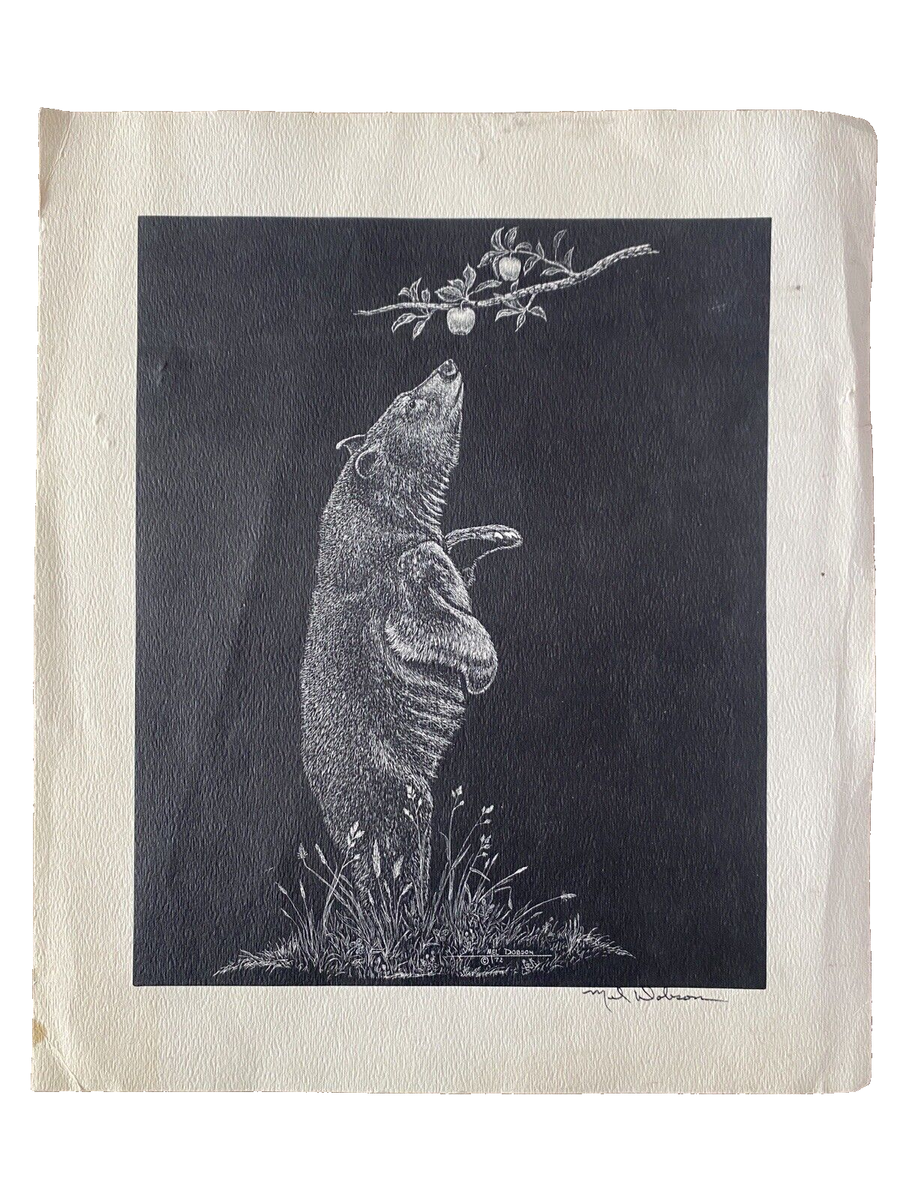 Mel Dobson Signed Print of Bear Reaching for Apple | eBay