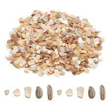 500g Crushed Shells Irregular Natural Mosaic Sea Shell Fragments Beige