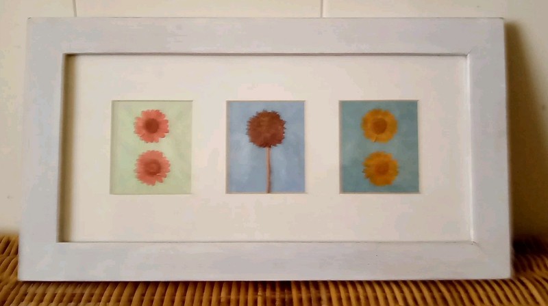 Vintage Pier One Framed Dried Pressed Flowers Artwork Picture Wall Decor 