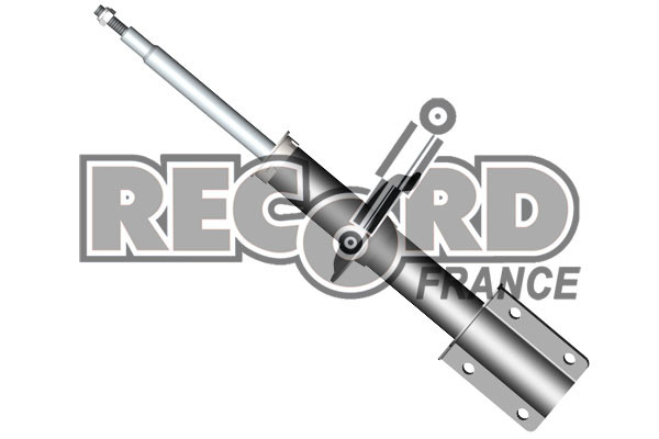 Amortisseur RECORD FRANCE 104494 jeu de 2 de rechange pour suspension de train arrière en acier
