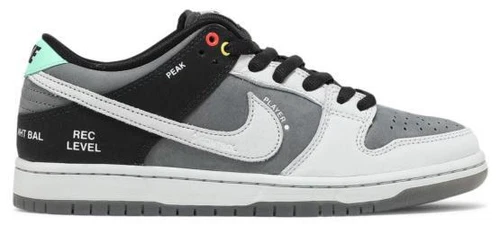 Nike Dunk SB Low Camcorder