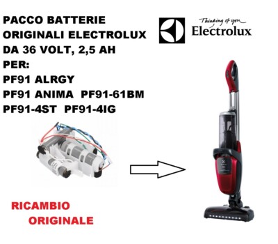 PACCO BATTERIE ASPIRAPOLVERE PURE F9 PF91-ANIMA PF91-6IBM ELECTROLUX  ORIGINALI | eBay