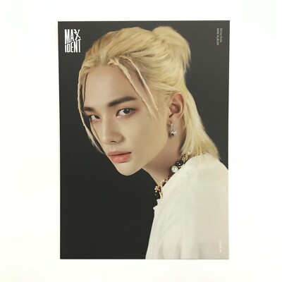 STRAY KIDS] Maxident / Case 143 / Official Mini Poster | eBay