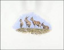 1995, Usbekistan, (63) Original - 1779779