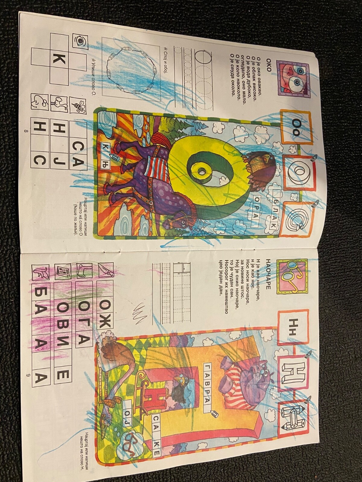Picture 6 of 6