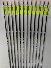 12 Easton Axis "Long Range" Match Grade 340 4mm Carbon Arrows! AAE Hybrid Vanes