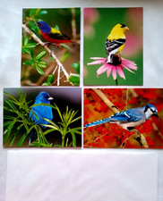 Lot-4-Greeting Card Colorful Beautiful Birds 5.5"x4.25" W/Envelopes