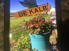  on The Hot Collector