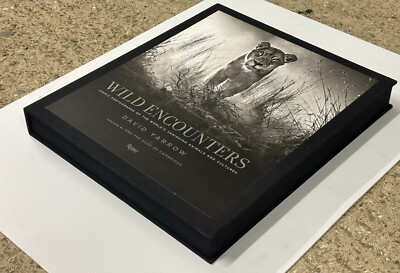 Wild Encounters David Yarrow 写真 洋書 インテリア 自社ECサイト