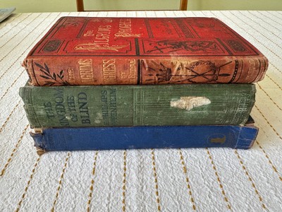 Alte Bücher Der Fortschritt der Pilger, Wuthering Heights, Das Königreich der Blinden