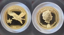 Coincard 10 Dollari Barbados 2021 0,5 G 0,9999 Oro Aquila di Mare Testa Bianca (153564)
