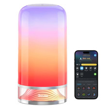 Govee Rgbic Smart Table Lamp 2 Touch Bedside Small Table Lamp Work Matter Alexa