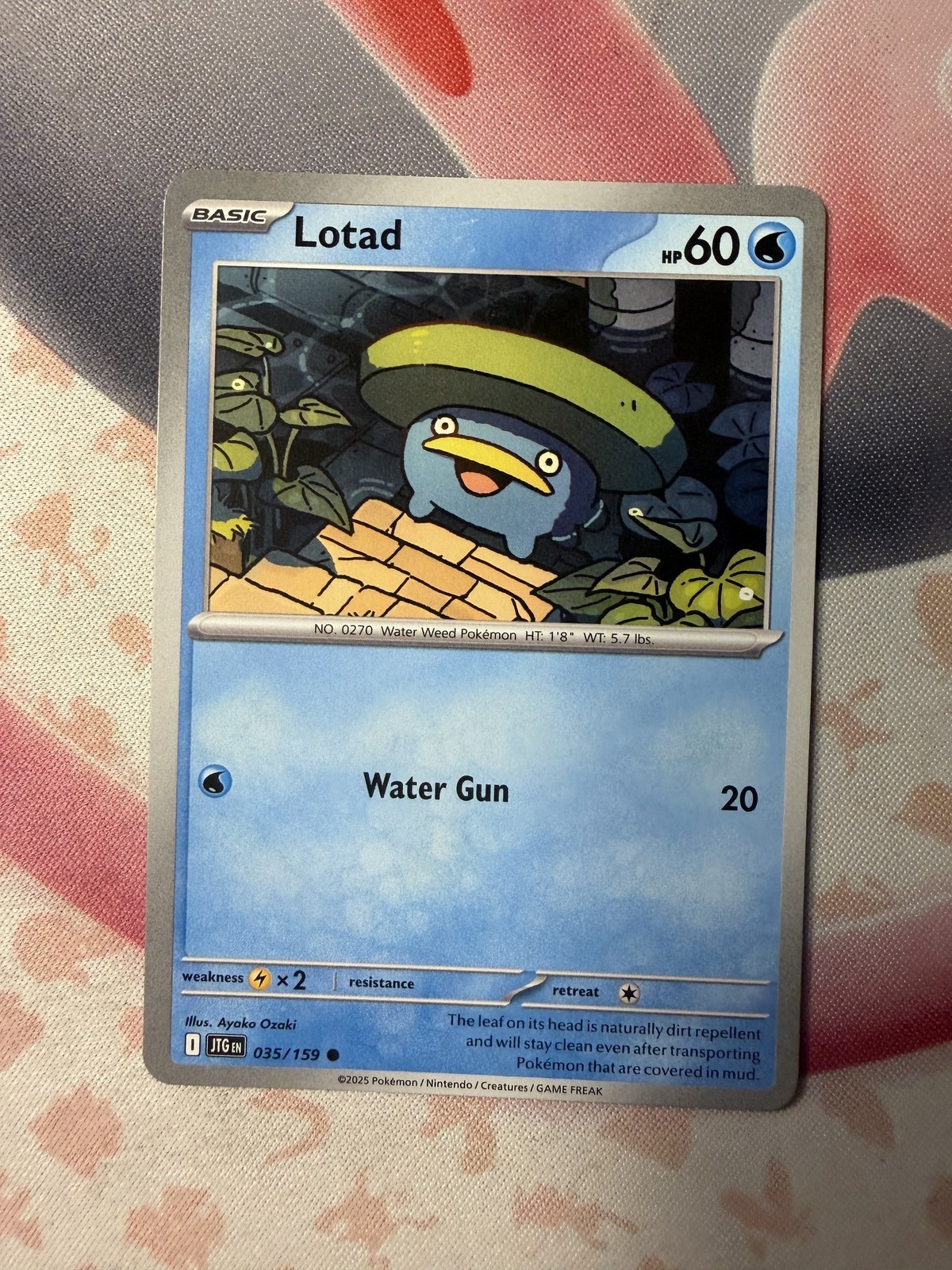 Lotad Common SV09: Journey Together 035/159 NM English