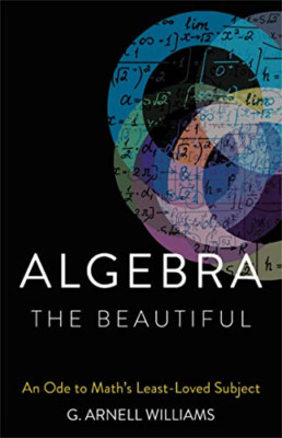 Algebra the Beautiful: An Ode to Math's Least-Loved Sub - Hardback NEW Williams,